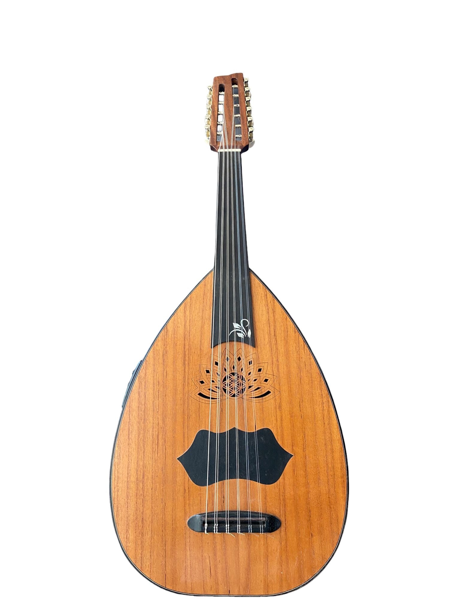 Professional Cutaway Electric Oud