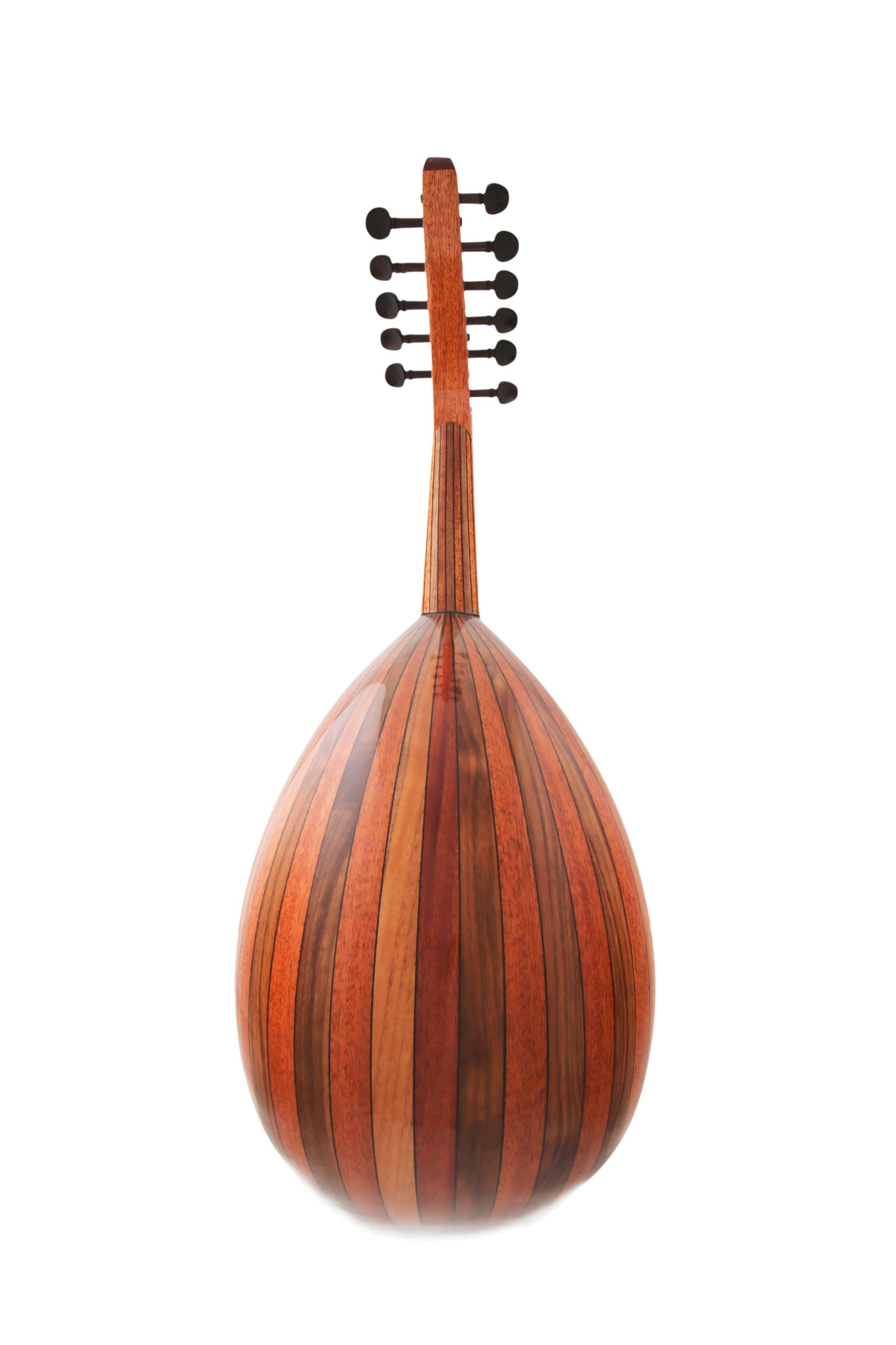 MST400 Mahogany/Walnut Oud - Intermediate Level