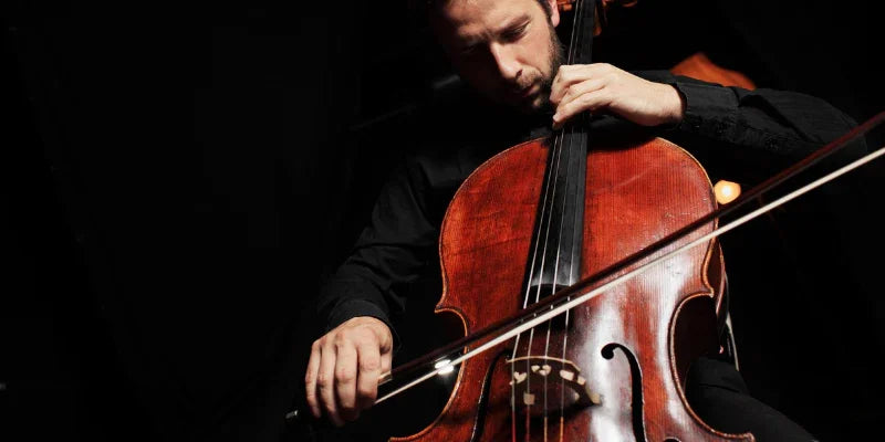 Stringman Instrument String Instruments Family History and Facts – Sultan Instrument