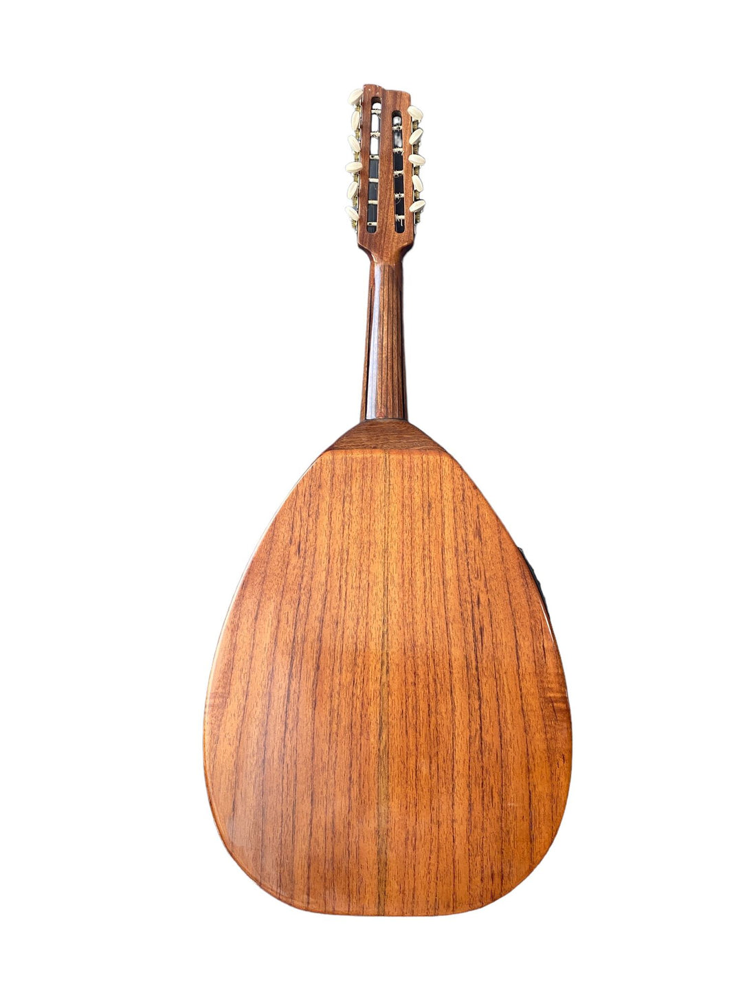 Professional Cutaway Electric Oud
