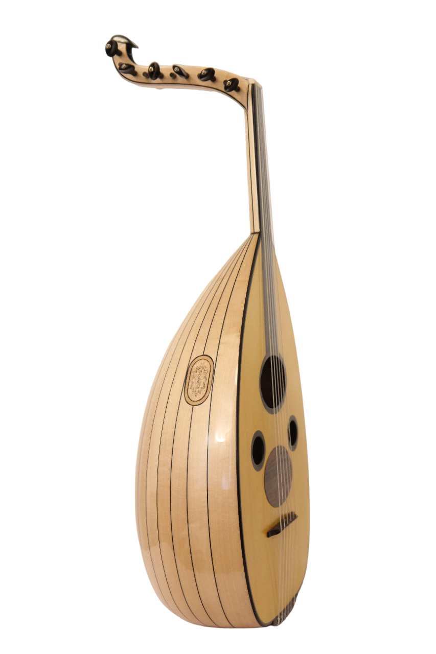 بشير فيوجن جسر عائم عود