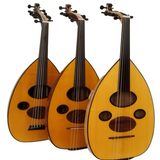 Bashir Plus Floating Bridge Oud