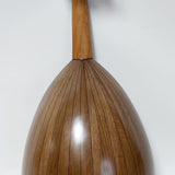 Bashir Sultan Junior Fix Bridge Oud