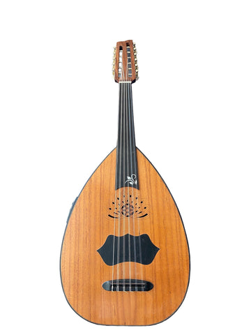 عود كهربائي احترافي مقطوع