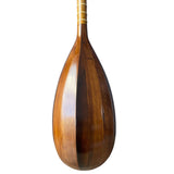 Iranian Tanbur