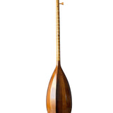 Iranian Tanbur