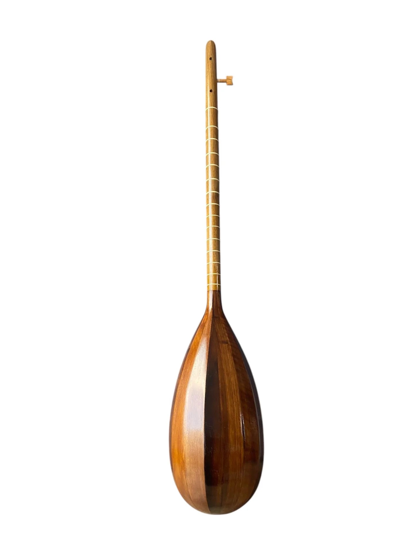 Iranian Tanbur