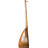 Iranian Tanbur