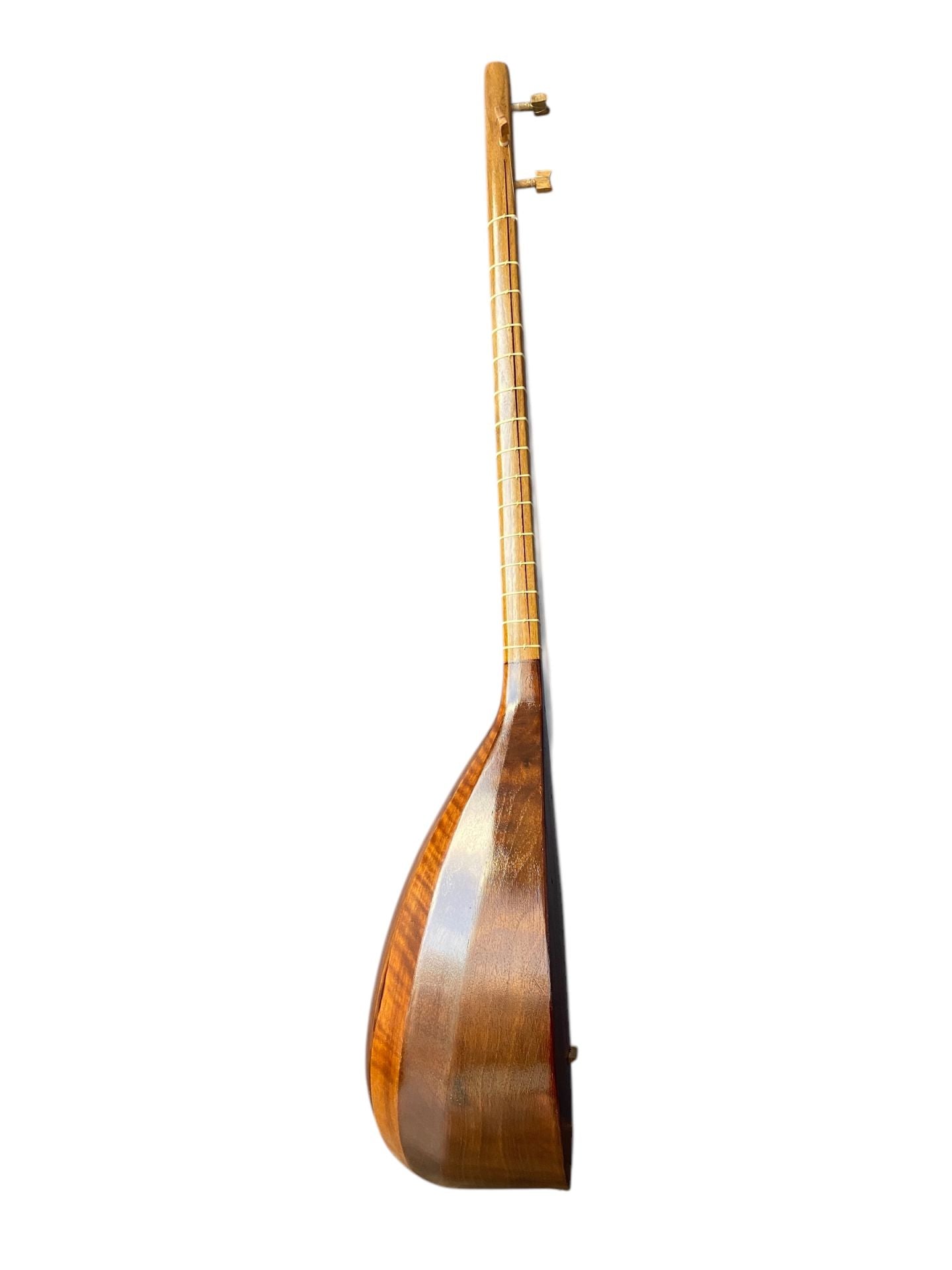 Iranian Tanbur
