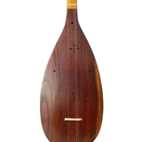 Iranian Tanbur