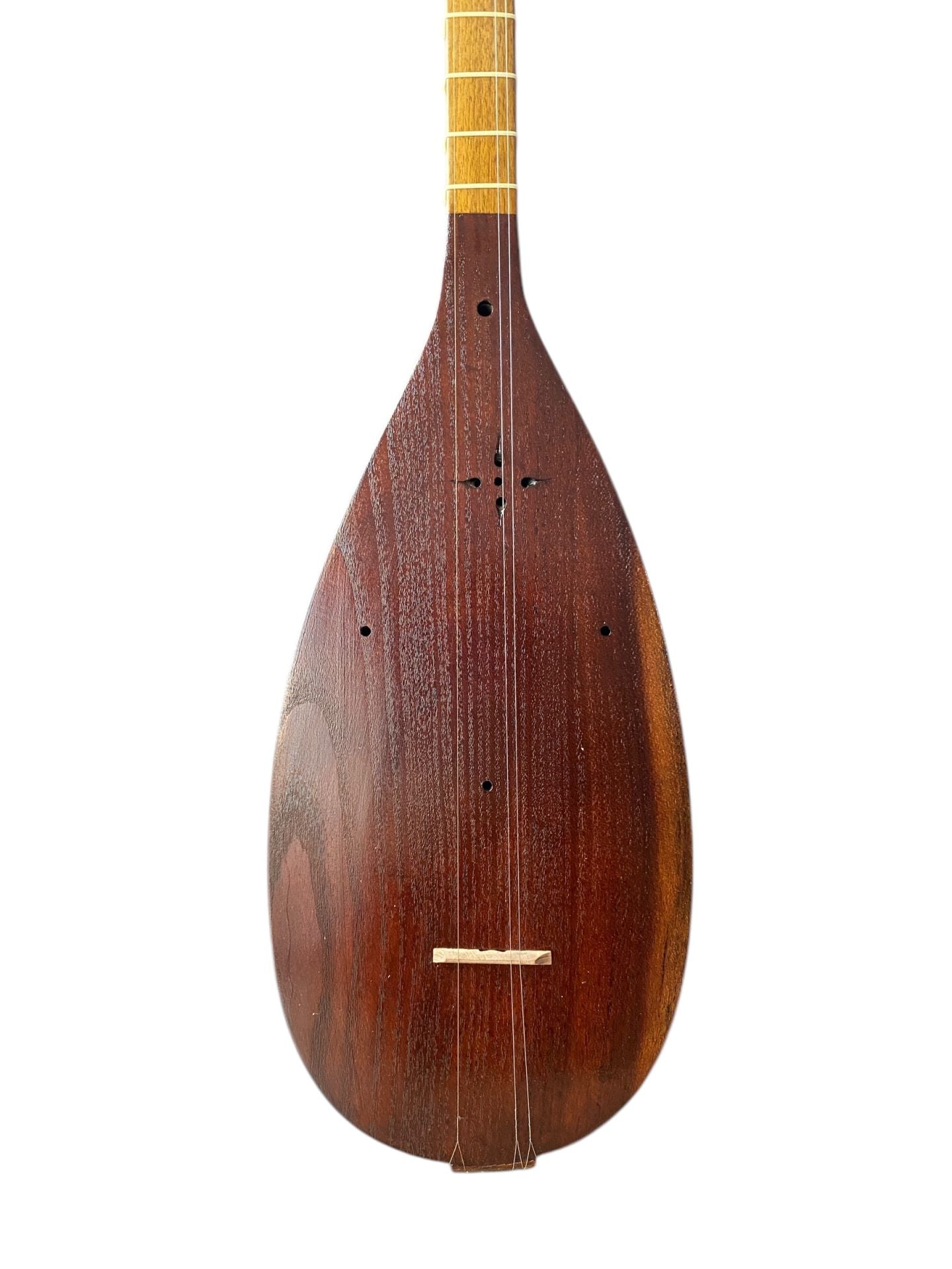 Iranian Tanbur