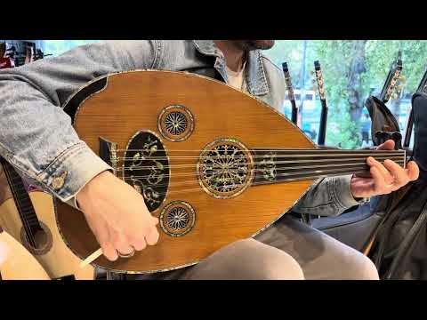 موديل أنكا عود