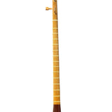 Iranian Tanbur