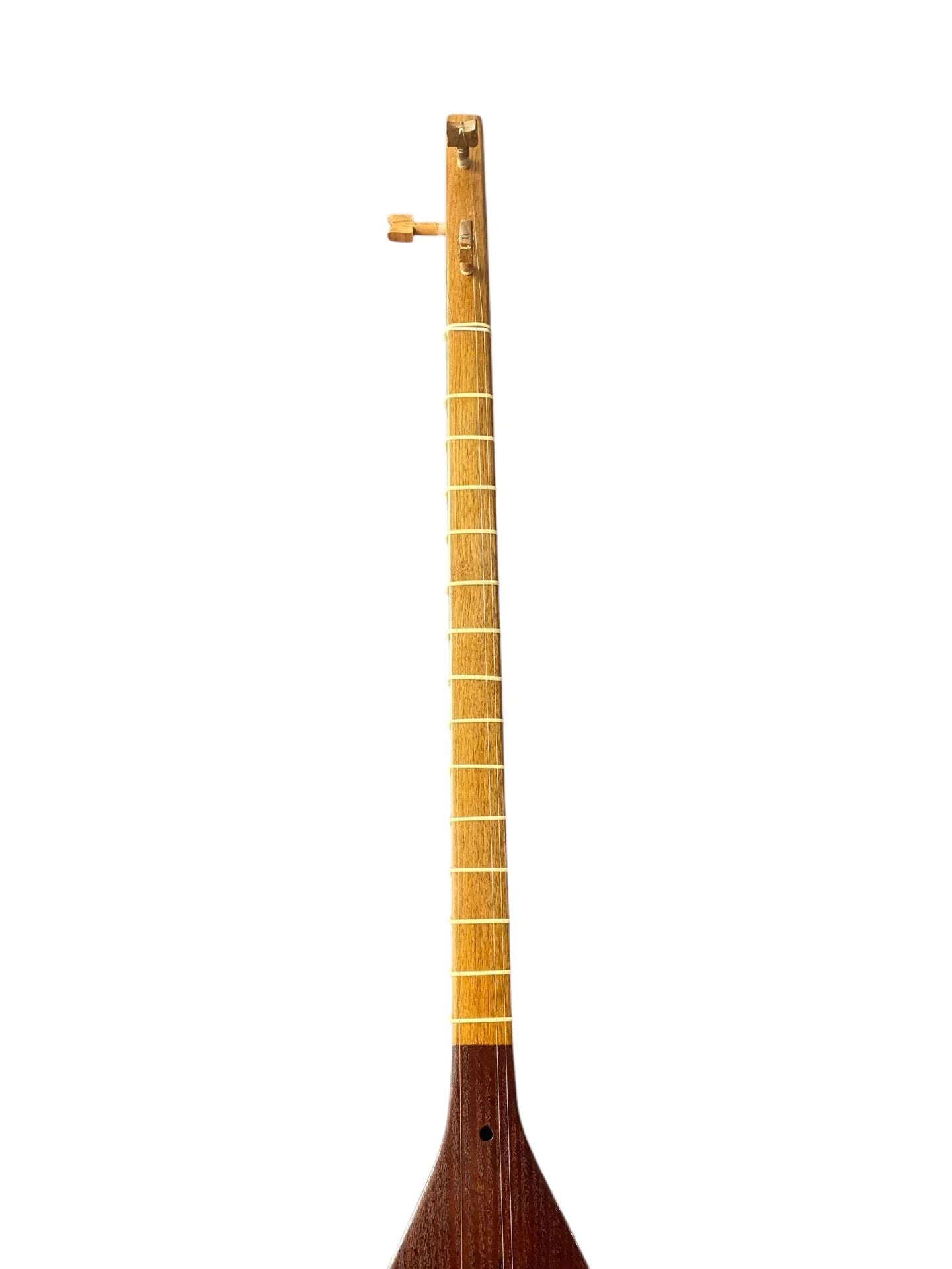 Iranian Tanbur