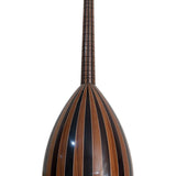 Professional Turkish Lavta