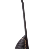 Electric  Baglama - Saz