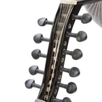 BL100 Black Walnut Beginner Oud