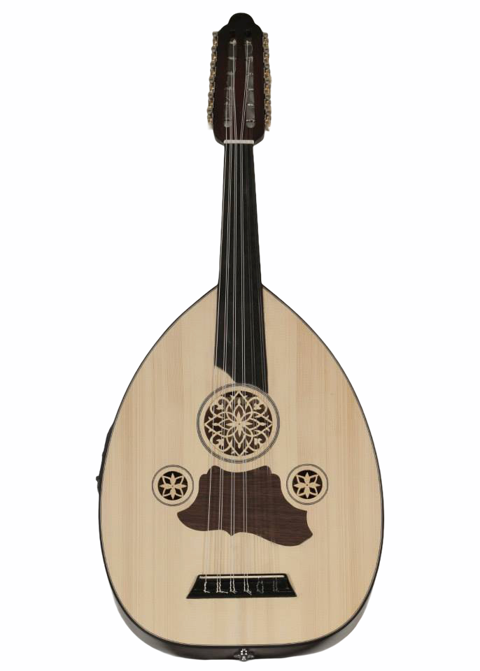 Beginner Half-Cut Oud