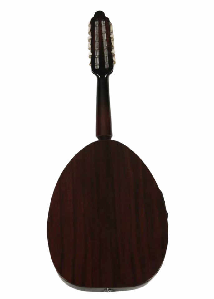 Beginner Half-Cut Oud