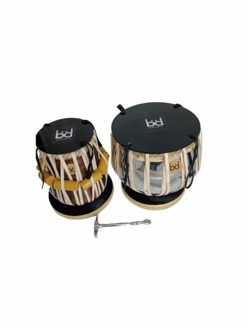 Professional Tabla